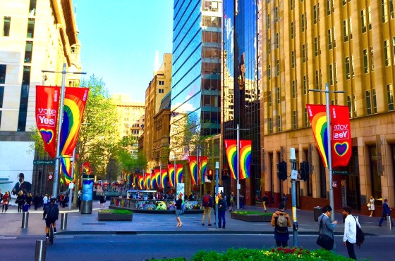 シドニーに並んでいた同性婚投票「イエス」のフラッグ
