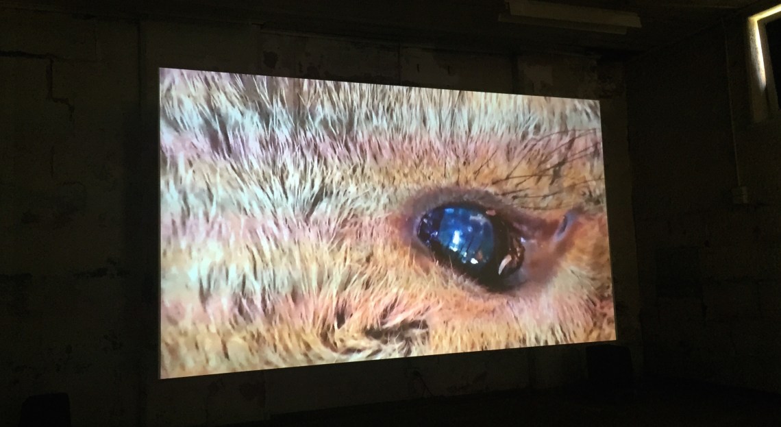 Life of the hunter by Ami Inoue at Biennale of Sydney (2018) Photo. HeapsArt 1