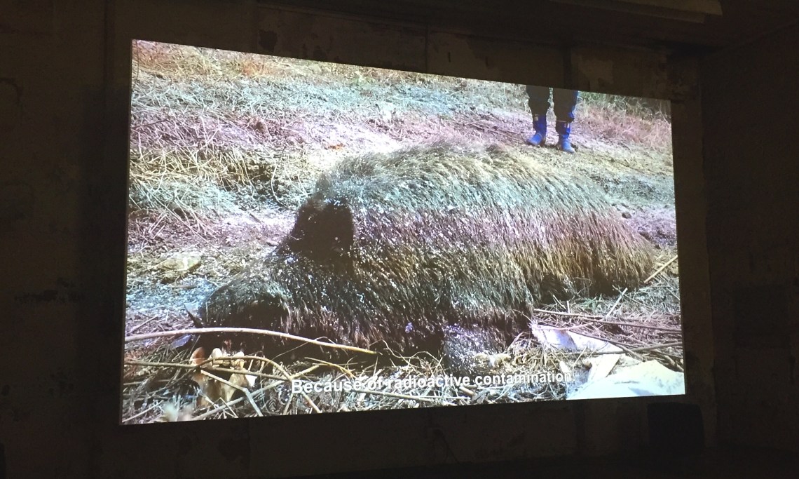 Life of the hunter by Ami Inoue at Biennale of Sydney (2018) Photo. HeapsArt 10