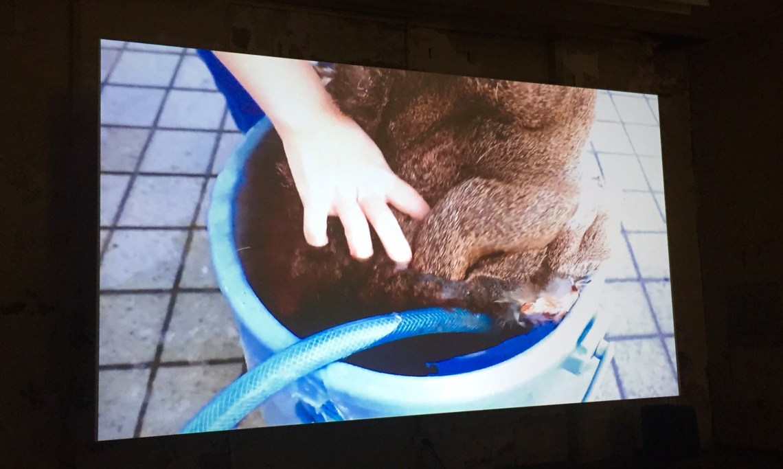 Life of the hunter by Ami Inoue at Biennale of Sydney (2018) Photo. HeapsArt 14