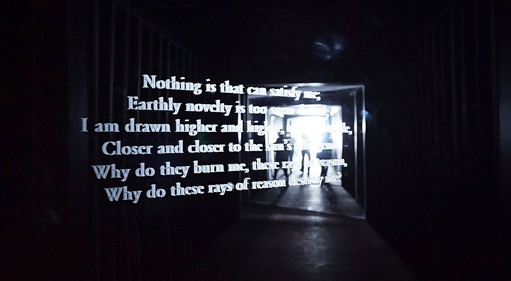 Icarus Container, 2018 by Yukinori Yanagi at 21st Biennale of Sydney. Photo: HeapsArt