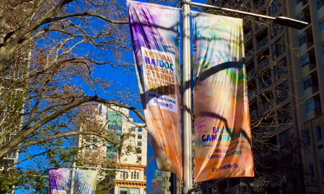 20180718.HeapsArt.NAIDOC flags