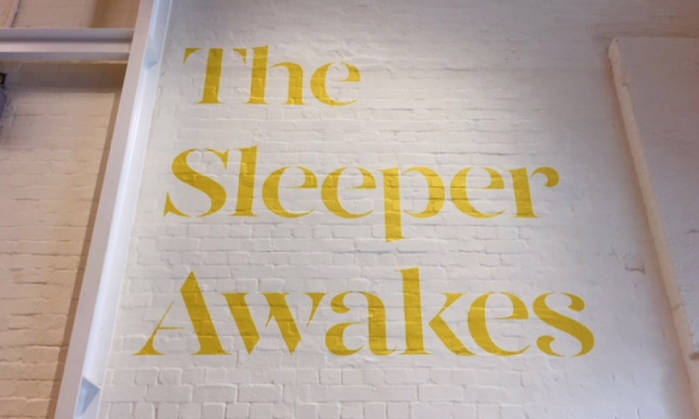 20180723.HeapsArt_The Sleepers Awake at White Rabbit Gallery_1