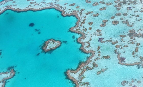 Great Barrier Reef